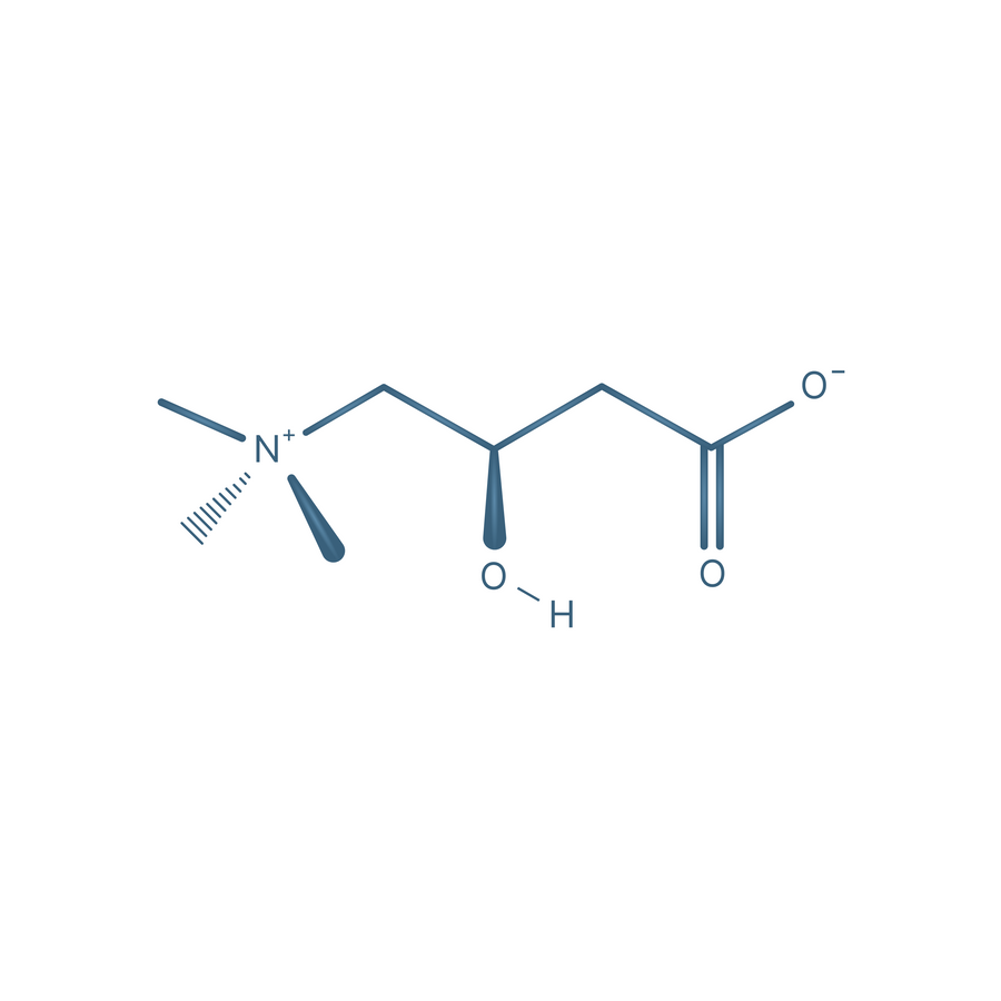 Carnitine