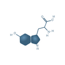 Glucosamine Sulfate