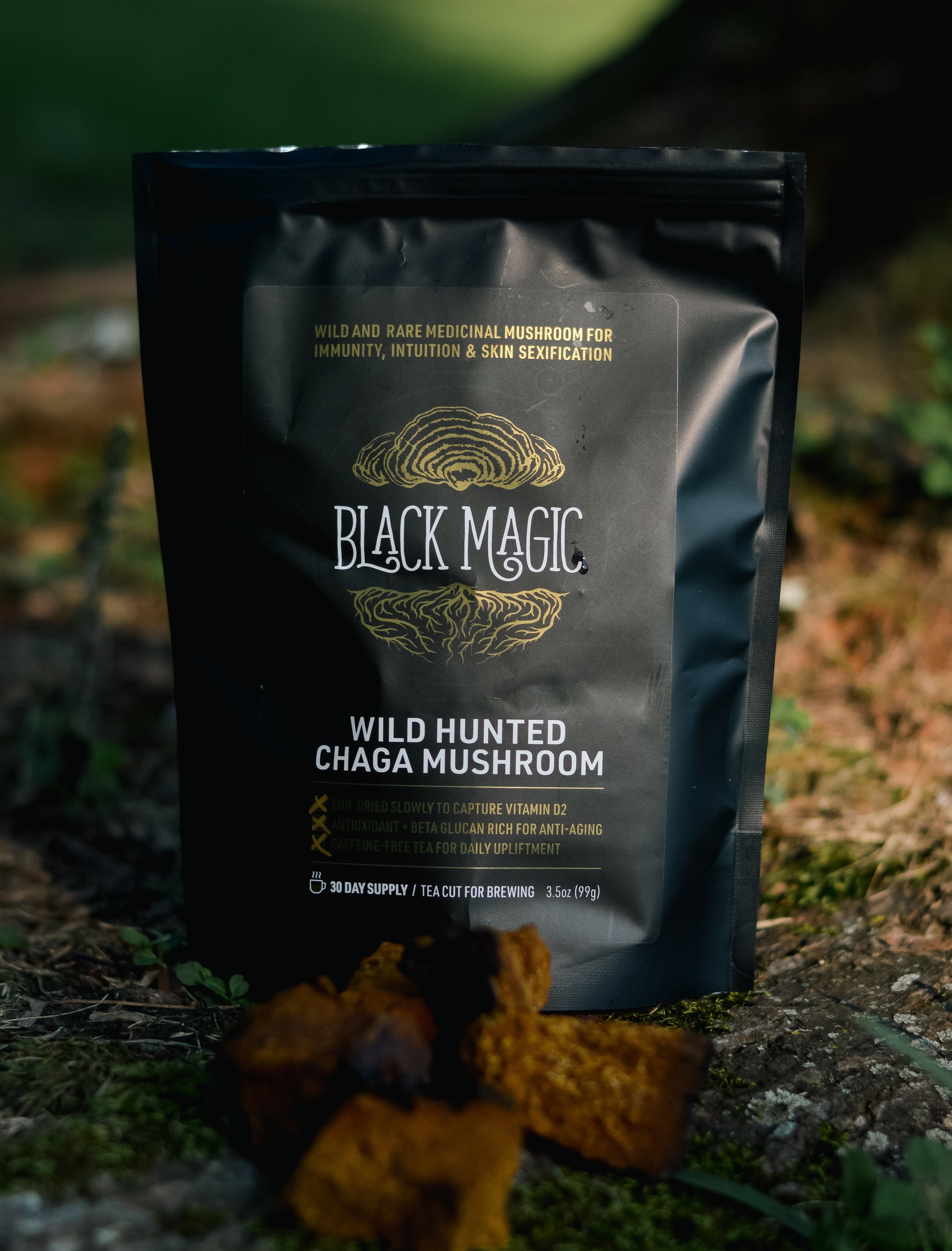 Sustainably Wild Harvested Chaga Mushroom Tea