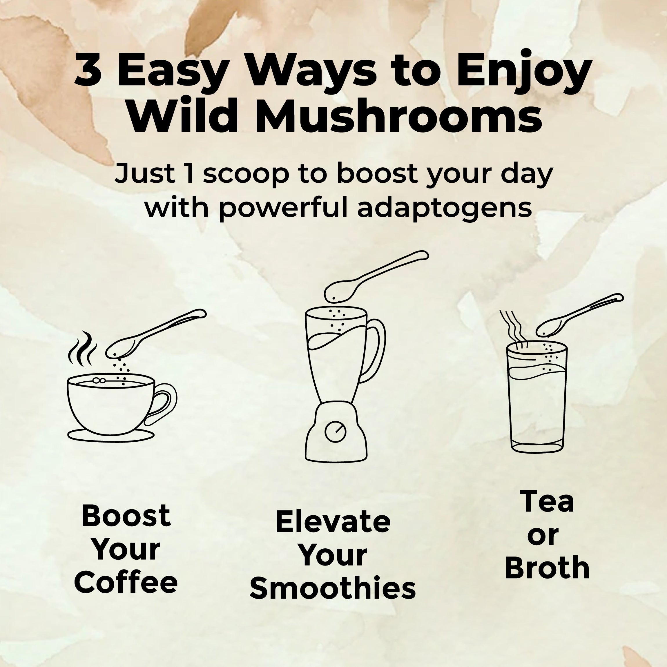 Master Five Mushrooms Blend - Adaptogens + Prebiotic Complex